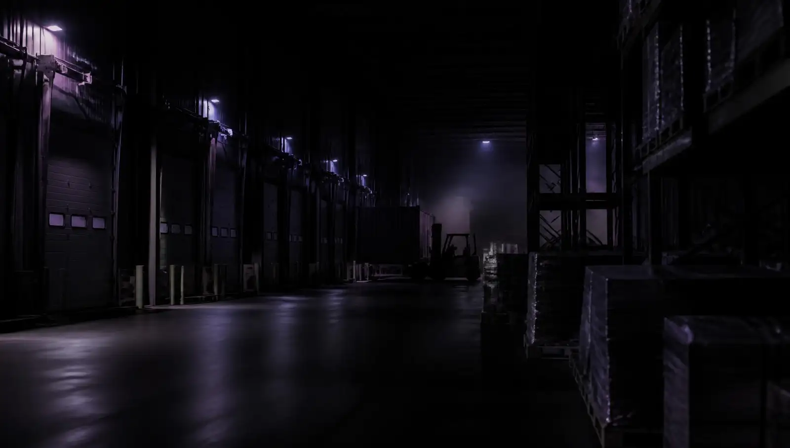 Warehouse dock doors and racked pallets at night